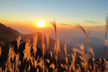 每周五晚出发成299元【武功山•金顶日出】向云端高山绿草甸~精华穿越2天3晚汽车团