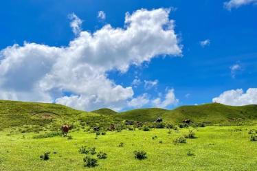 【阳春鸡笼顶】徒步阳春鸡笼顶，打卡美粤西最美高山大草原，赏数千亩高山杜鹃花1天1夜，每周五/六晚，国庆！