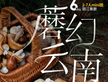“蘑”幻云南｜6天5晚｜市场独家打造，夏季云南专属- 