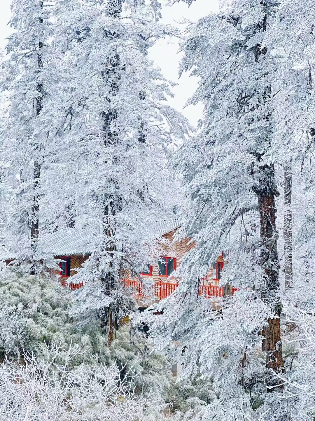 1702718260517706.jpg 51eef2f9409cf2a15176b0c98988cbc.jpg