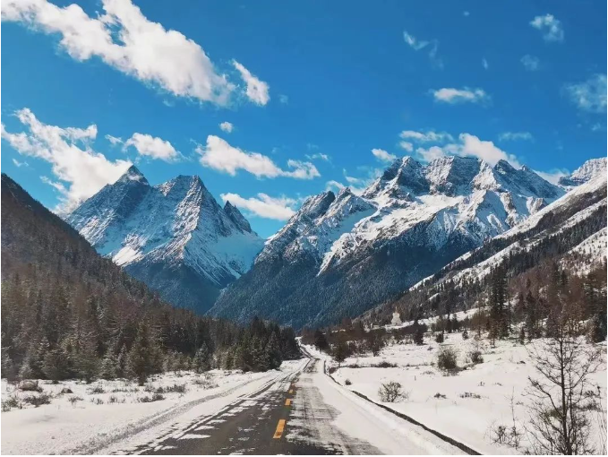 1701075980377741.png image.png