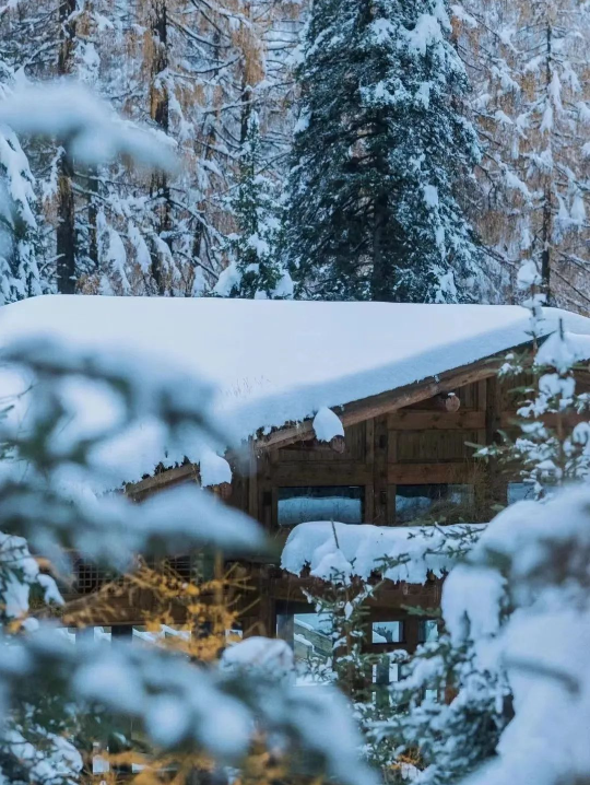 1701076050793801.png image.png