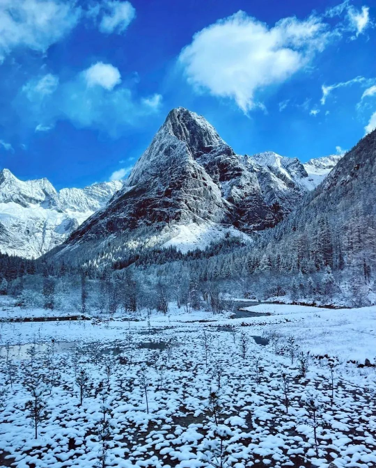 1701076260767126.png image.png