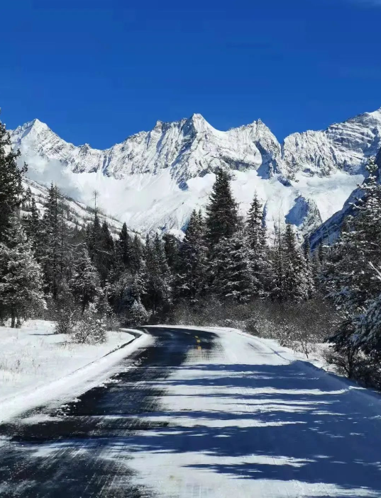 1701076282909971.png image.png