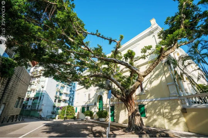 1678414563544149.png image.png