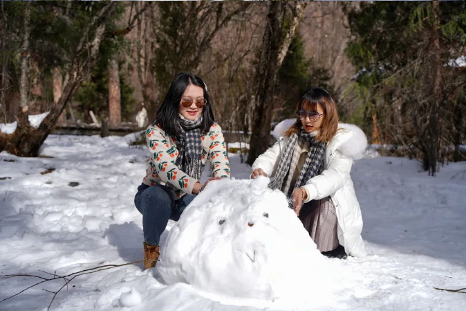 1701076028253951.png image.png