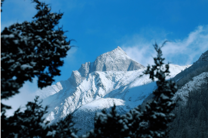 1701076130597806.png image.png