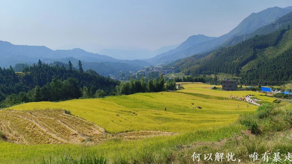 GkP754xmxEgxFh7M4bBr__1fK6AFOm3pPk5TF-jgwPrg016nxWYPnZ75lPxRkGir