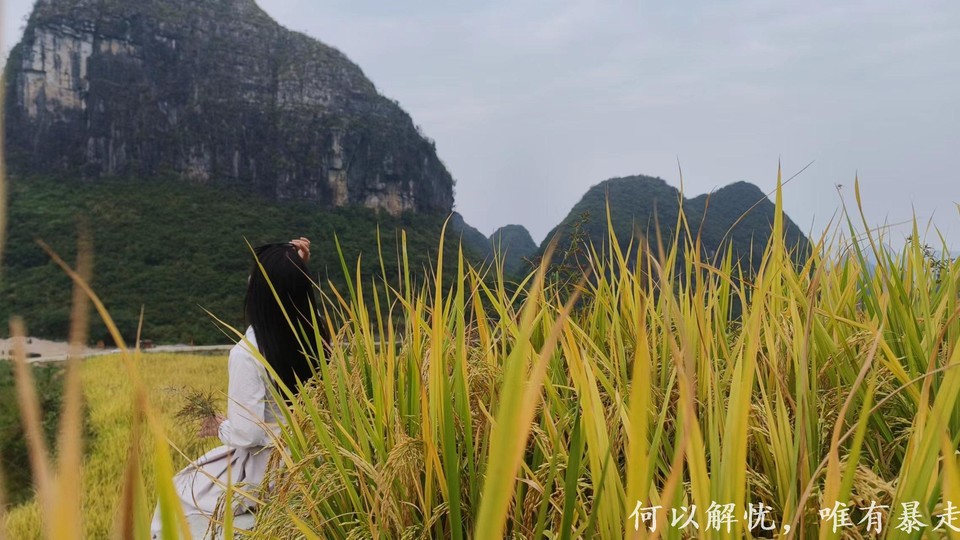 GkP754xmxEgxFh7M4bBr_1U5apEfZdx096s7uTA5MWiddt0JSbkQ8WvdnP-bDeBV