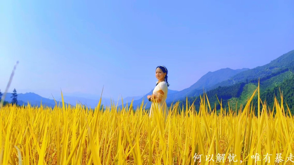 GkP754xmxEgxFh7M4bBr_zN82cpgP9BFnoo-k5wp76wuZI52c-jvH8t_PScS7mdp