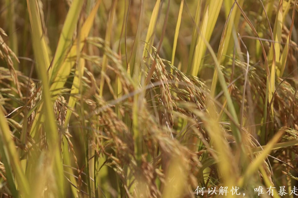 GkP754xmxEgxFh7M4bBr_6wlKpl-jLTRVnvHVuMlwLpwQNIjZ6NHxBqyzEaJ-jgy