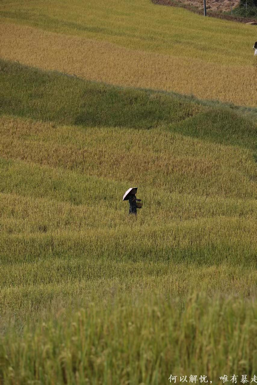 GkP754xmxEgxFh7M4bBr_zh5x7Sab_G5jCi8SX4ujntEk1xLHFVLnU10mzERoPzy