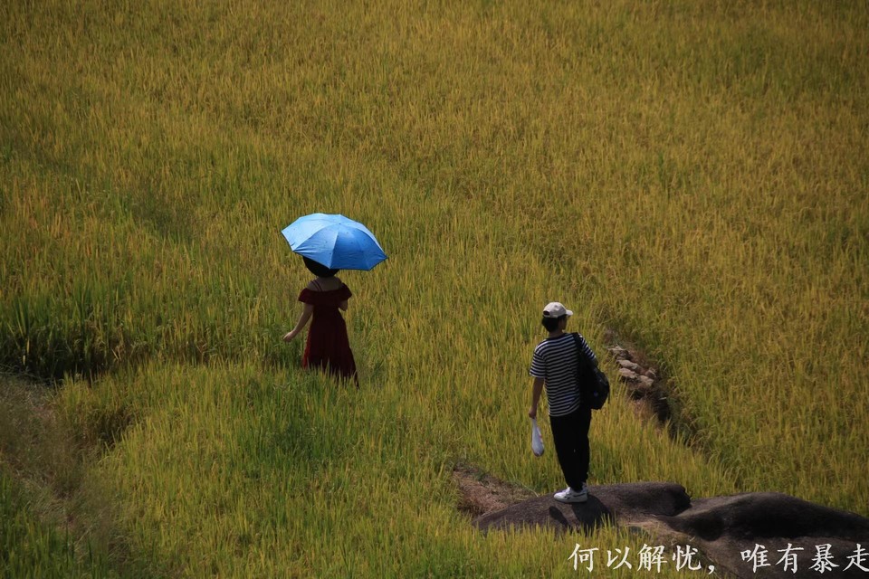 GkP754xmxEgxFh7M4bBr_5MvVUT1CVE-gIn6RaaGk5FvWjj4-BQizr-b40Twm5D7