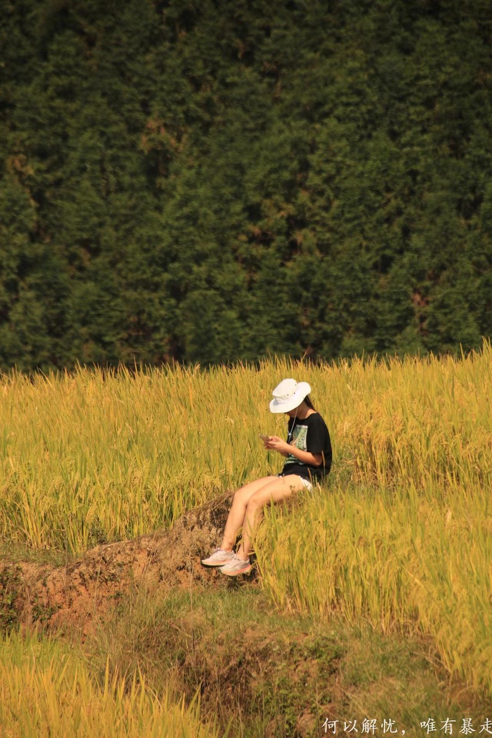 GkP754xmxEgxFh7M4bBr_8K1IFaUww_1yBdmBp4h5m66-gUg-GWta9n0pu5SiZEn