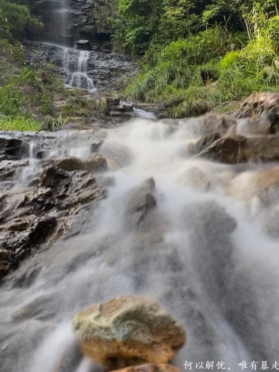 大东门泡潭 20220730 (2)