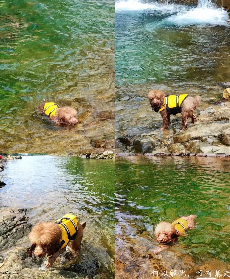 大东门泡潭 20220730 (6)