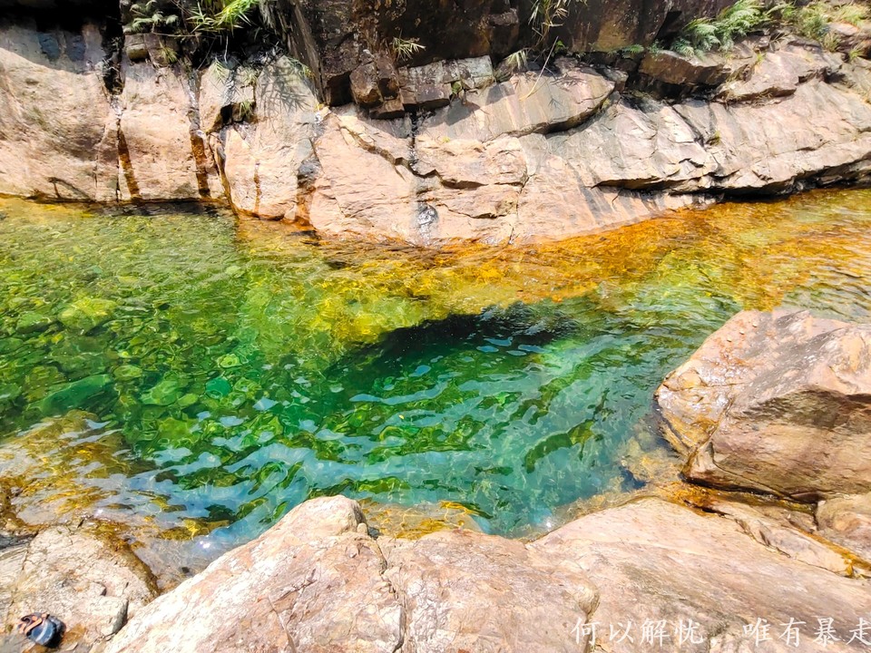 大东门泡潭 20220730 (8)