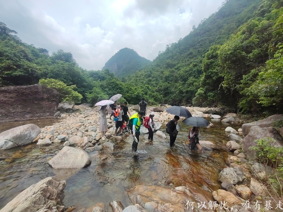 大东门泡潭 20220730 (11)