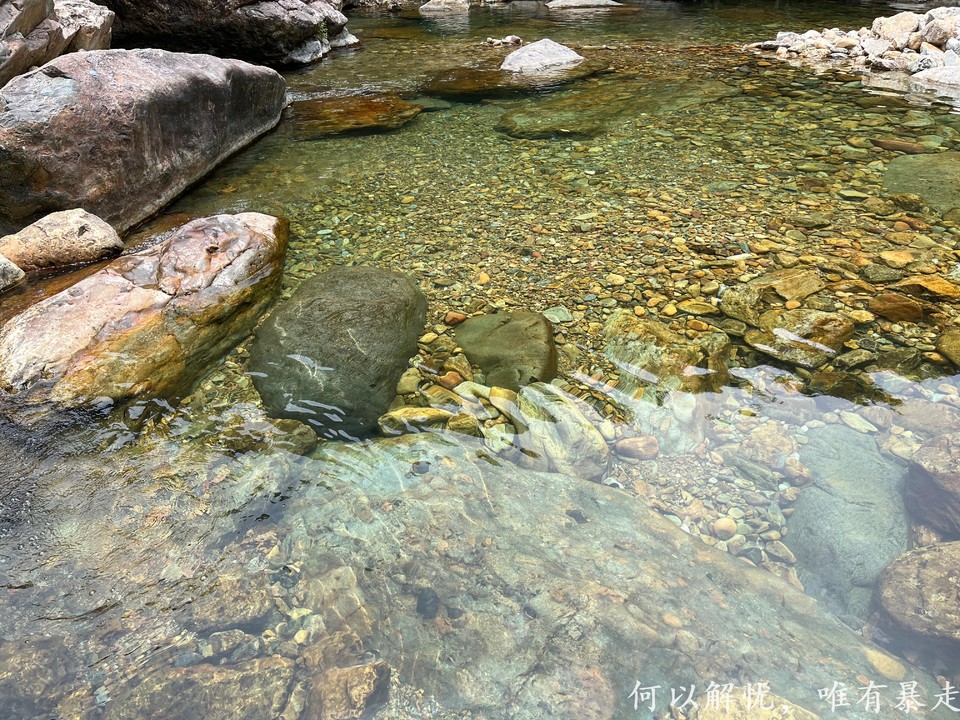 大东门泡潭 20220730 (12)