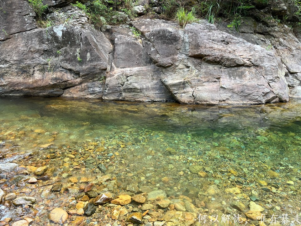 大东门泡潭 20220730 (16)