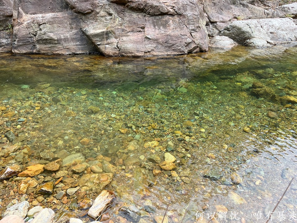 大东门泡潭 20220730 (17)