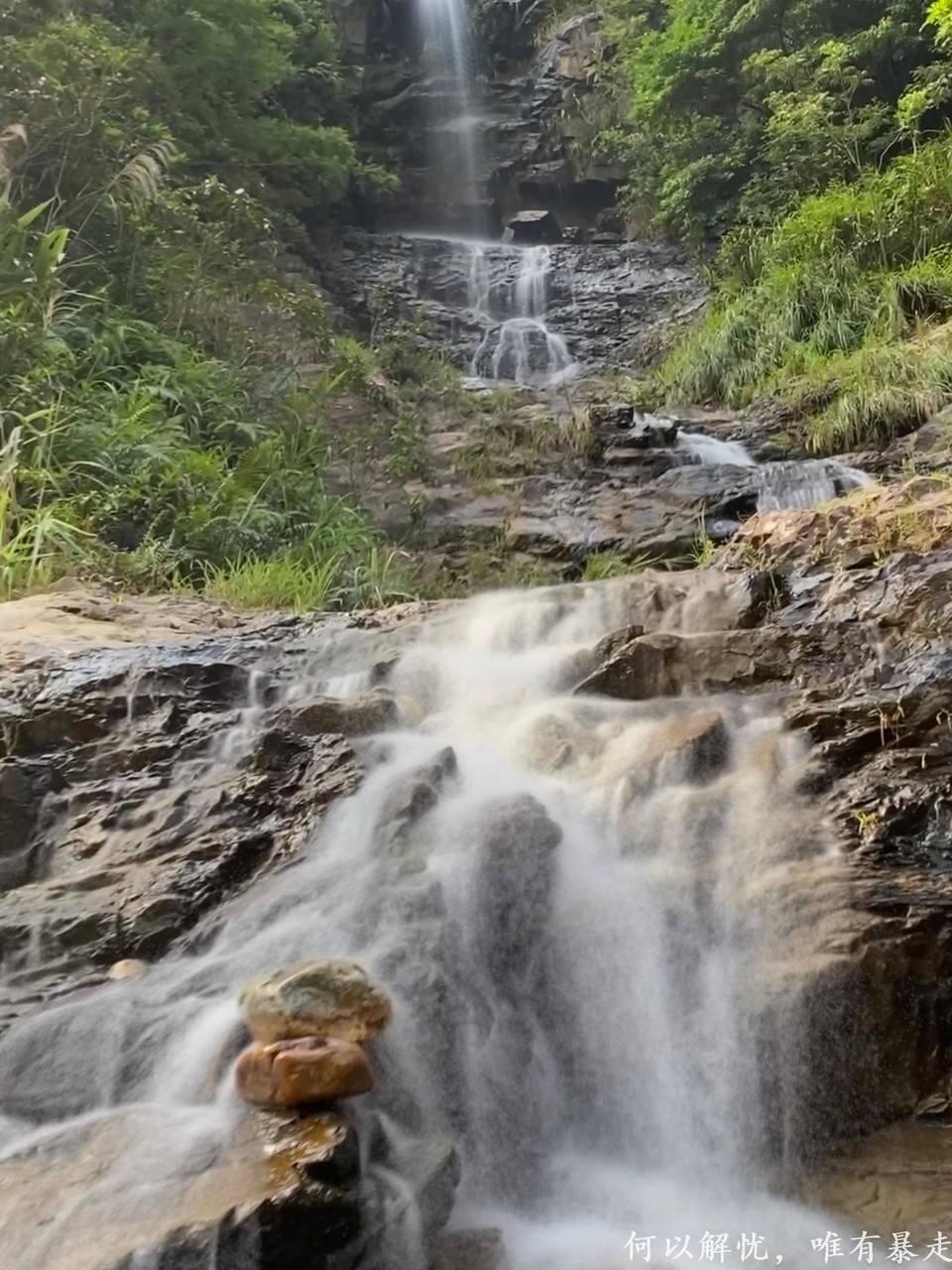 大东门泡潭 20220730 (18)