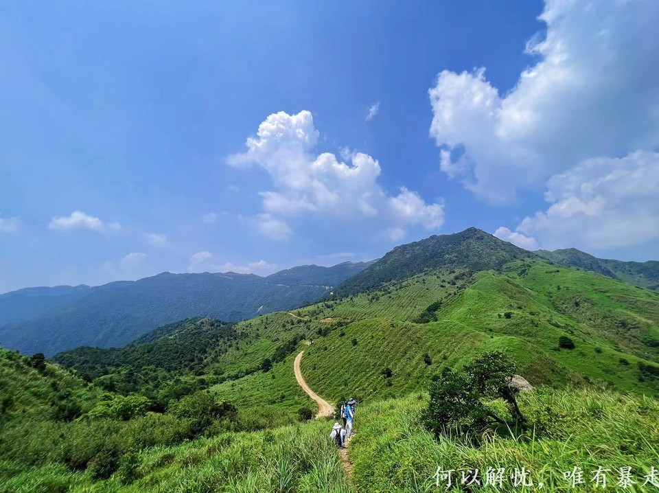 大南山20020731 (5)