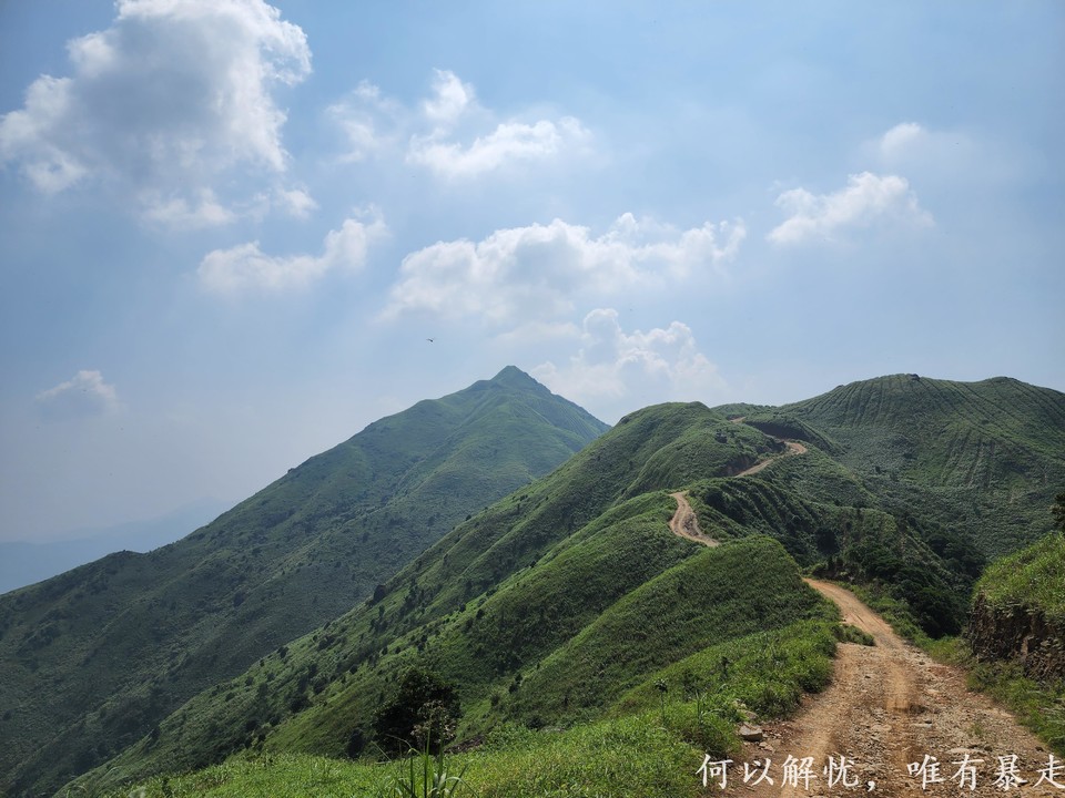 大南山20020731 (6)