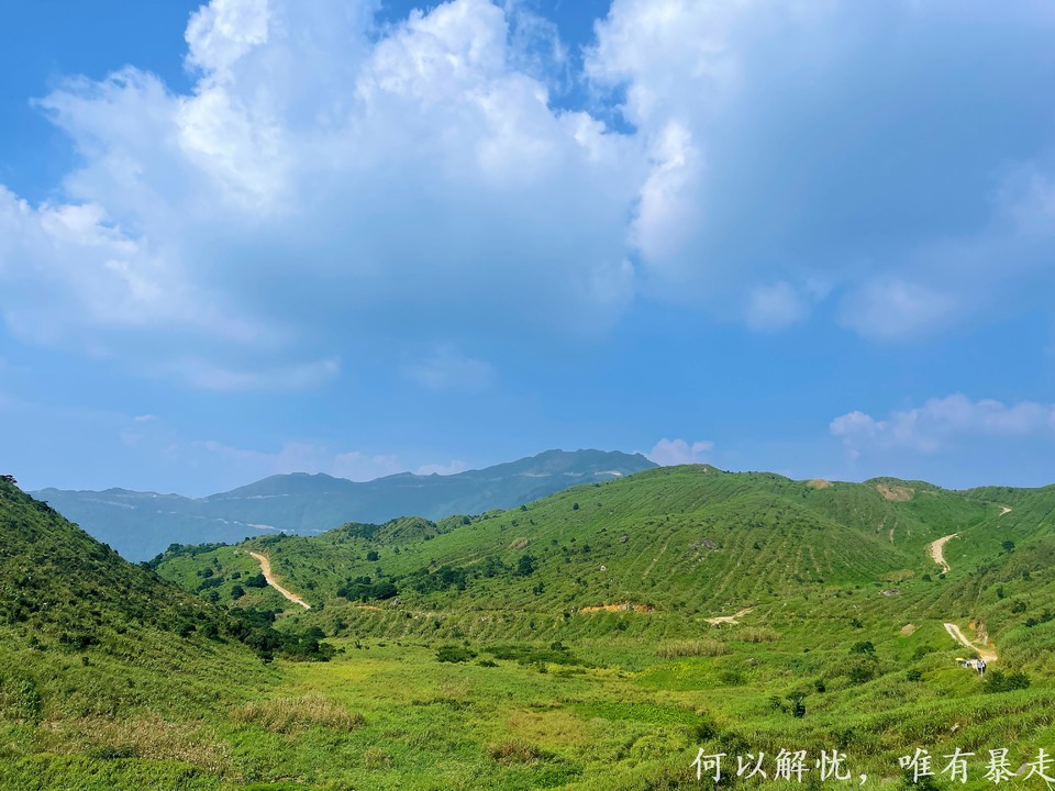 大南山20020731 (8)