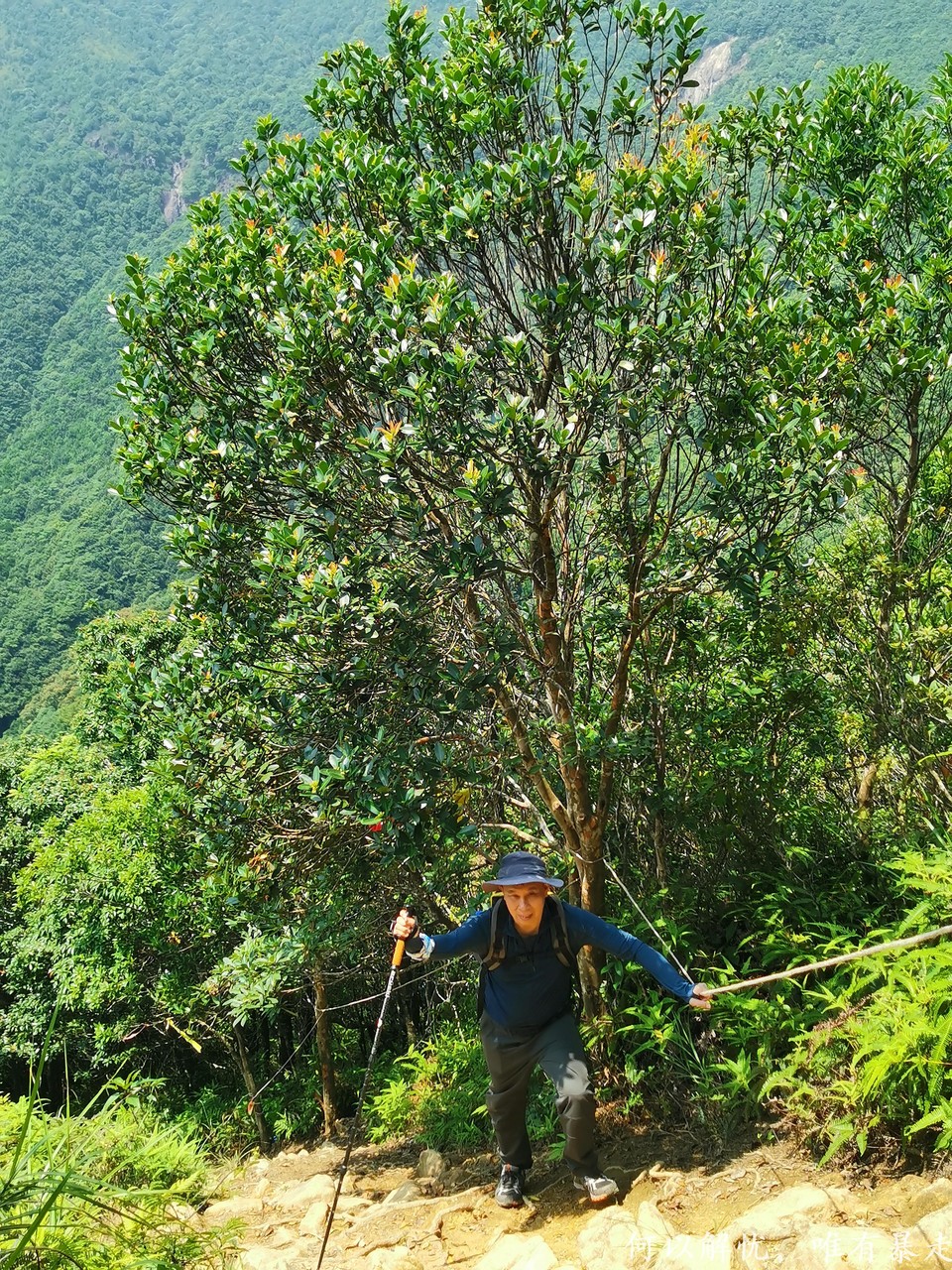 大南山20020731 (12)