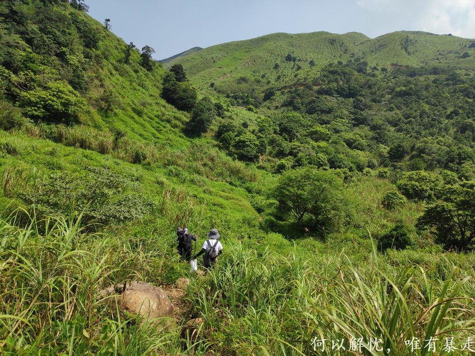 大南山20020731 (13)