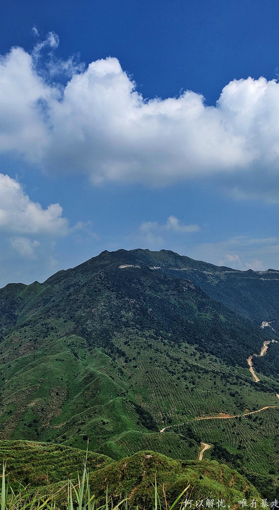 大南山20020731 (16)