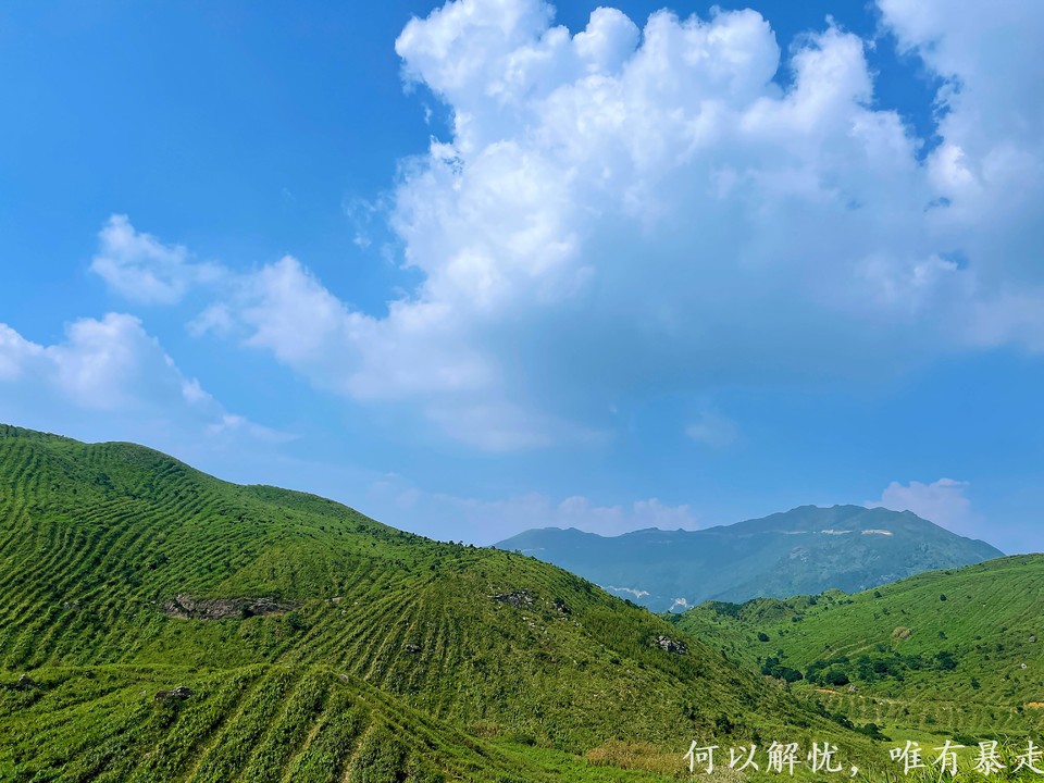 大南山20020731 (19)