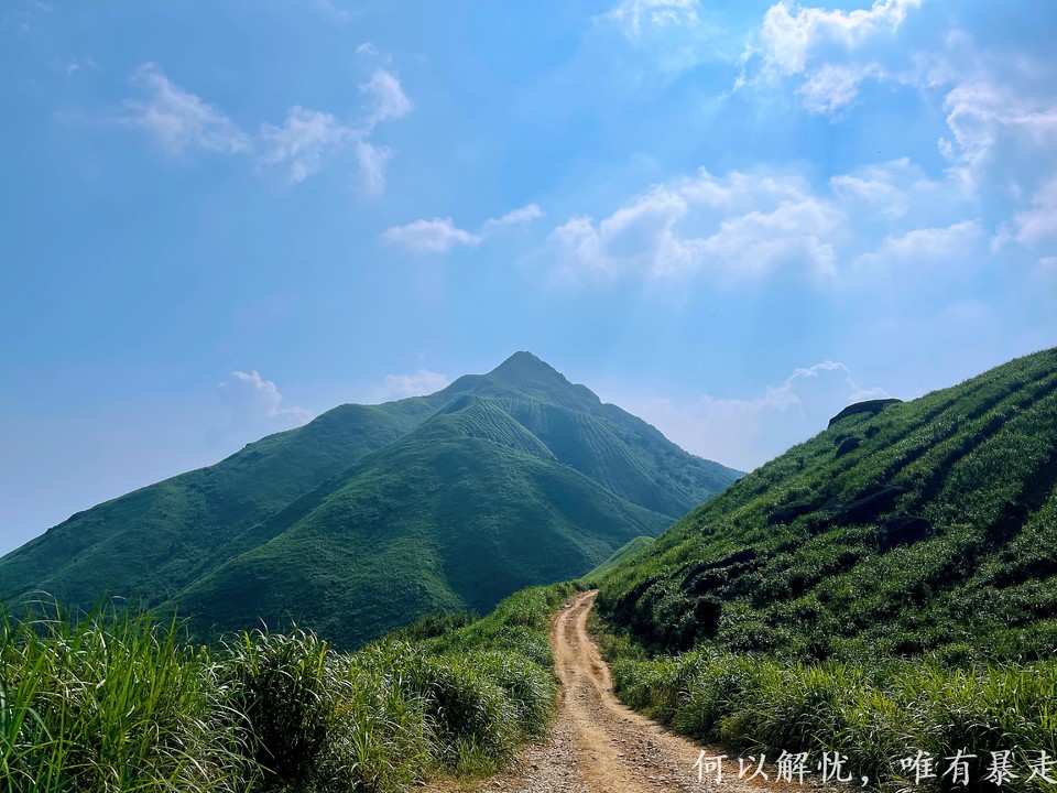 大南山20020731 (26)