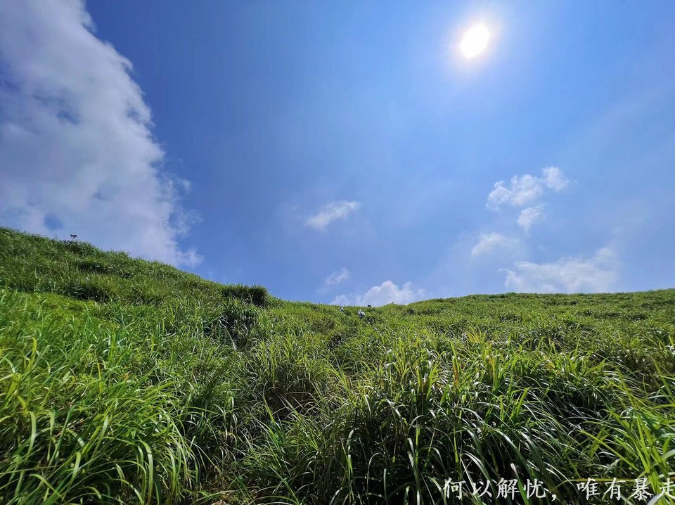 大南山20020731 (30)