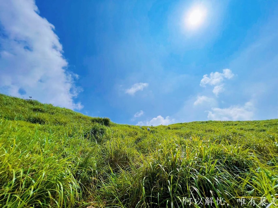 大南山20020731 (32)