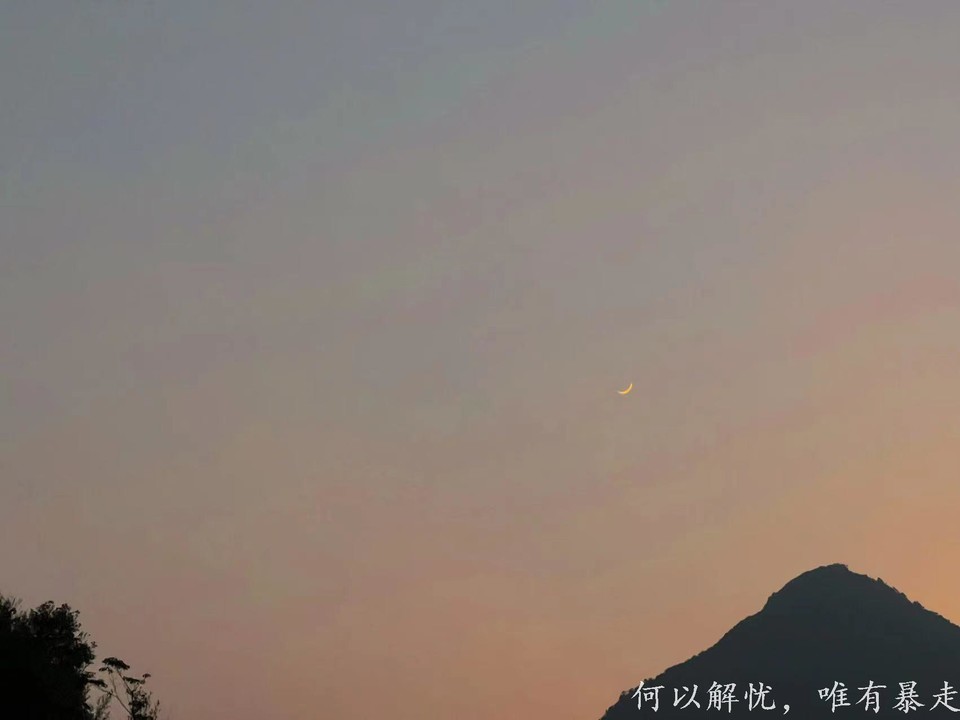 大南山20020731 (36)