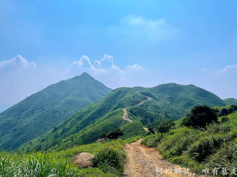 大南山20020731 (38)