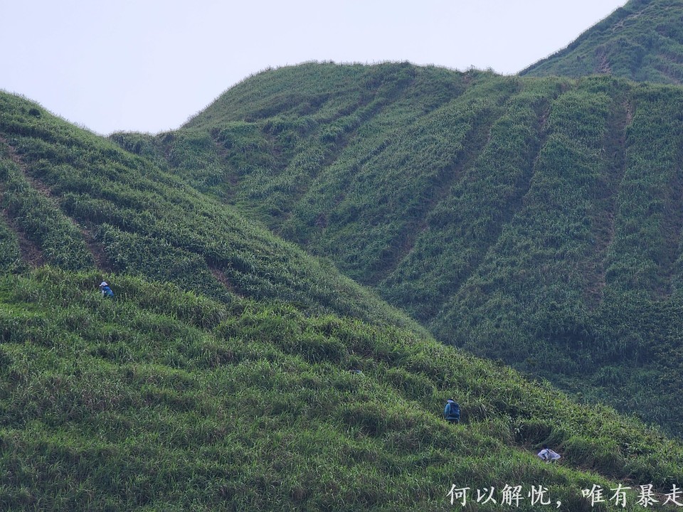 大南山20020731 (39)