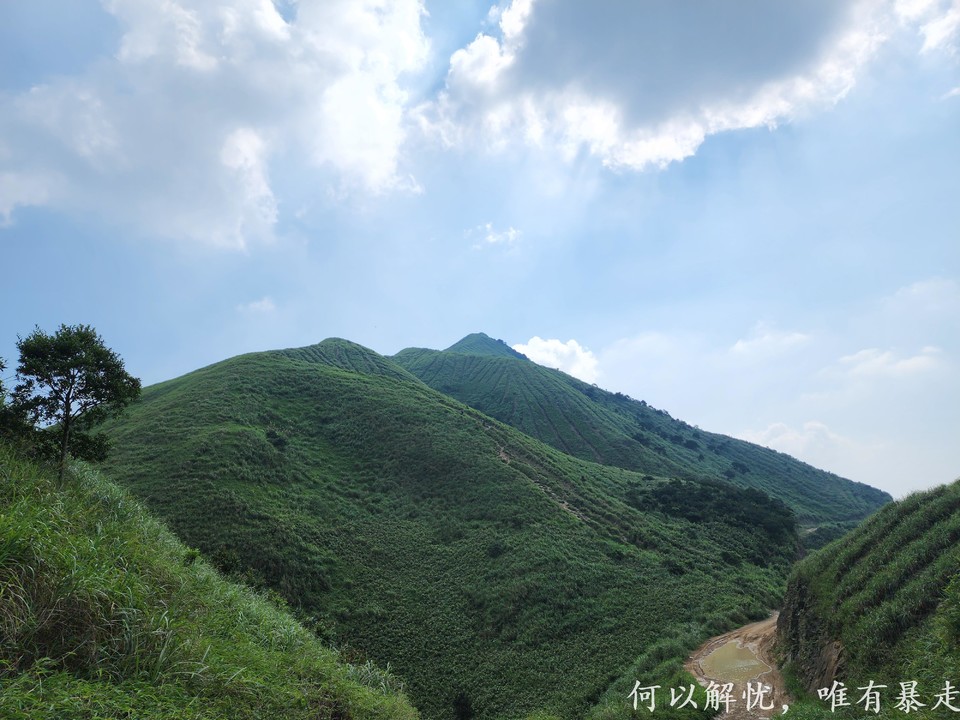 大南山20020731 (17)