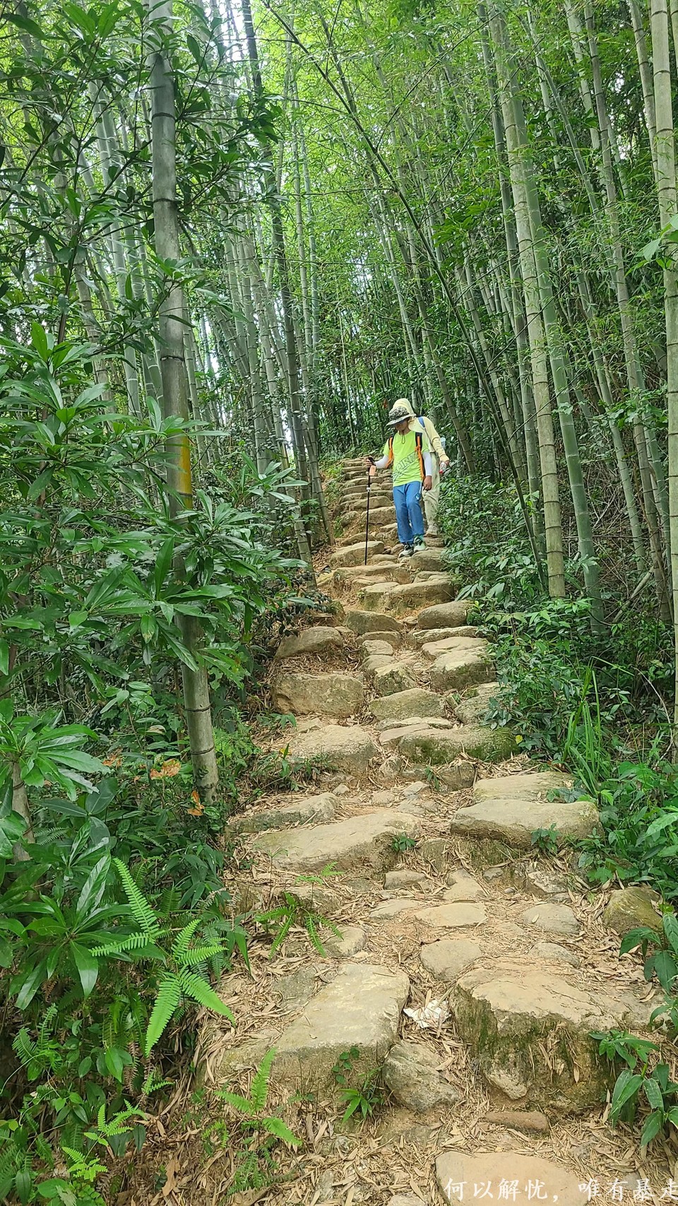 星溪线 20220730 (3)