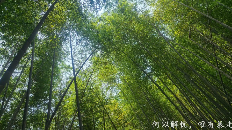 星溪线 20220730 (5)