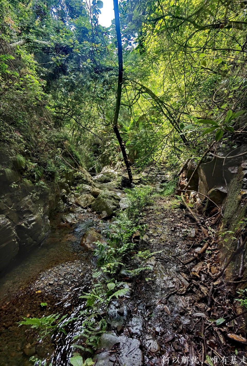 万绿湖20220806 (1)