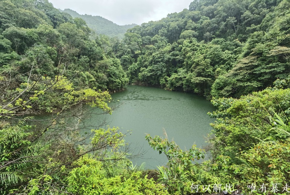 万绿湖20220806 (3)