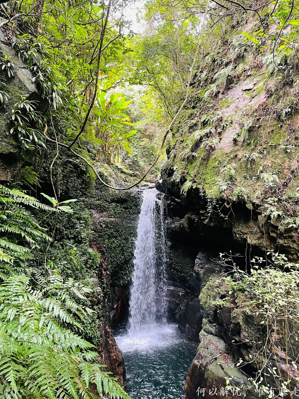 万绿湖20220806 (6)