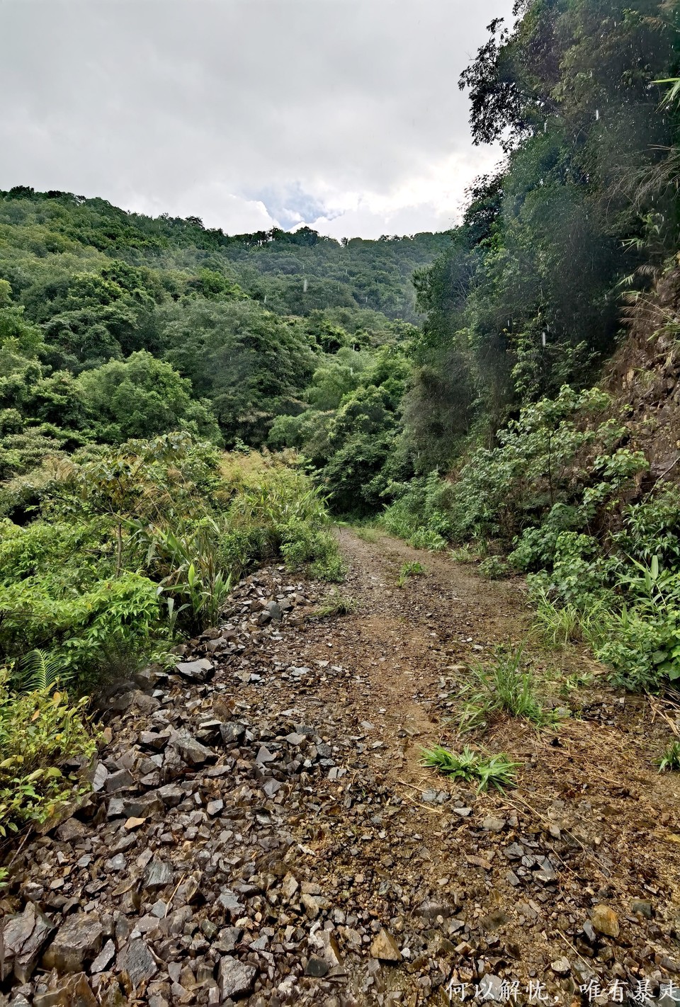 万绿湖20220806 (7)