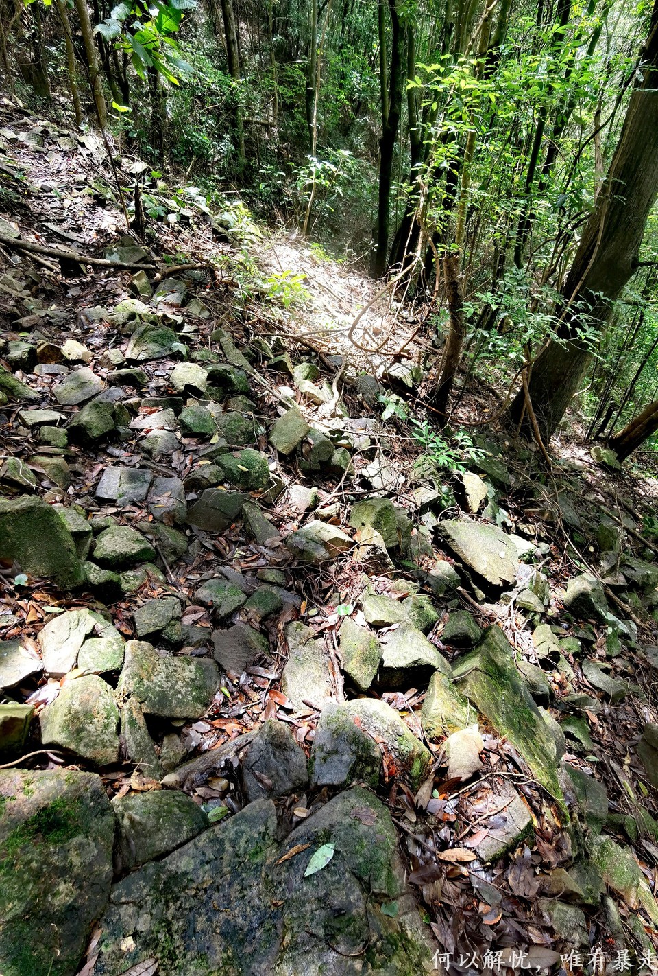 万绿湖20220806 (13)