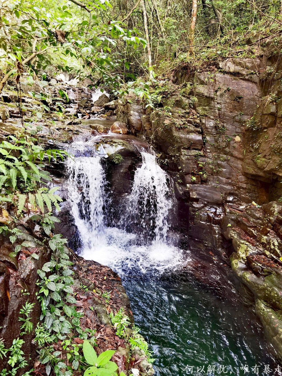 万绿湖20220806 (15)