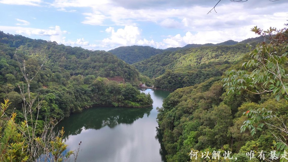 万绿湖20220806 (23)