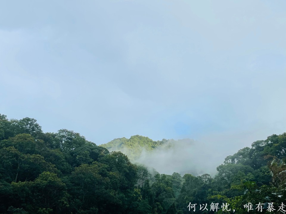 万绿湖20220806 (24)